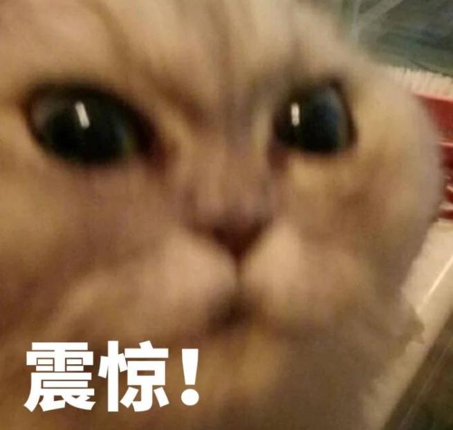 DƬ